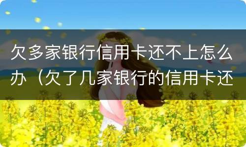 欠多家银行信用卡还不上怎么办（欠了几家银行的信用卡还不上）