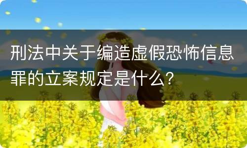 刑法中关于编造虚假恐怖信息罪的立案规定是什么？