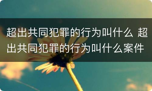 超出共同犯罪的行为叫什么 超出共同犯罪的行为叫什么案件