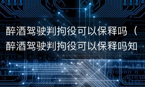 醉酒驾驶判拘役可以保释吗（醉酒驾驶判拘役可以保释吗知乎）