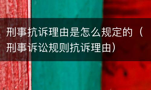 刑事抗诉理由是怎么规定的（刑事诉讼规则抗诉理由）