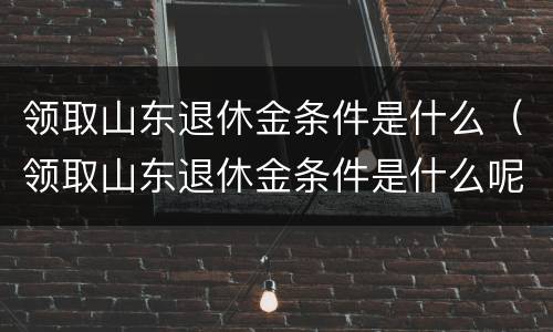 领取山东退休金条件是什么（领取山东退休金条件是什么呢）
