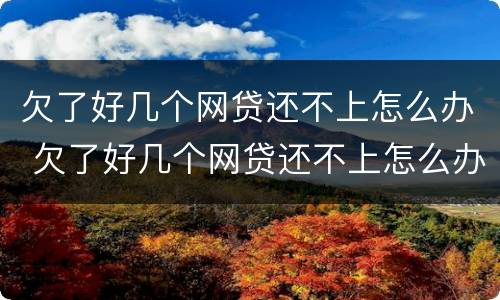欠了好几个网贷还不上怎么办 欠了好几个网贷还不上怎么办呢