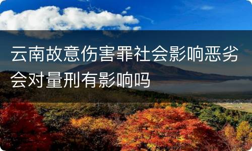 云南故意伤害罪社会影响恶劣会对量刑有影响吗