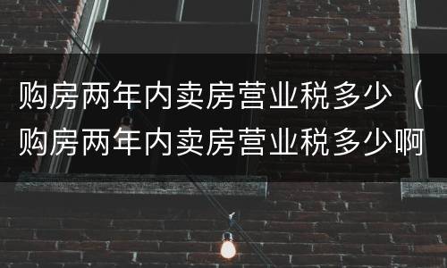 购房两年内卖房营业税多少（购房两年内卖房营业税多少啊）