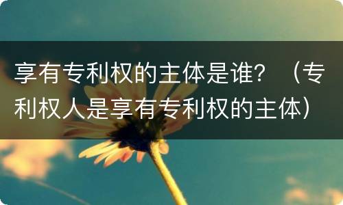 享有专利权的主体是谁？（专利权人是享有专利权的主体）