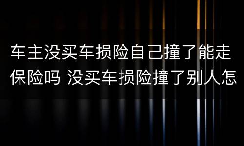 车主没买车损险自己撞了能走保险吗 没买车损险撞了别人怎么办
