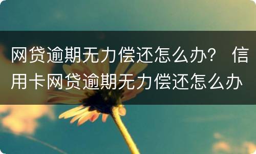 网贷逾期无力偿还怎么办？ 信用卡网贷逾期无力偿还怎么办