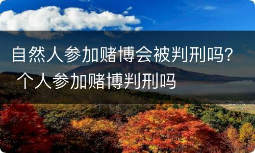 自然人参加赌博会被判刑吗？ 个人参加赌博判刑吗