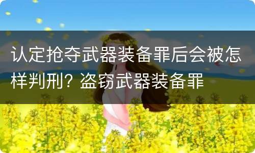 认定抢夺武器装备罪后会被怎样判刑? 盗窃武器装备罪