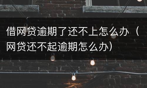 借网贷逾期了还不上怎么办（网贷还不起逾期怎么办）