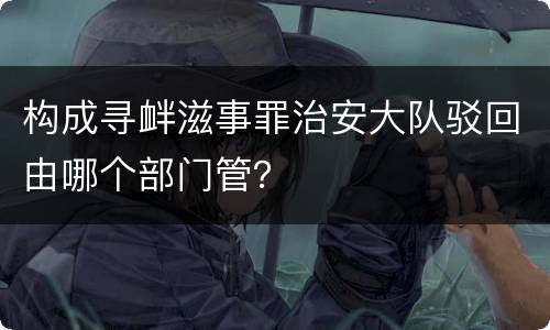 构成寻衅滋事罪治安大队驳回由哪个部门管？
