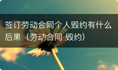签订劳动合同个人毁约有什么后果（劳动合同 毁约）