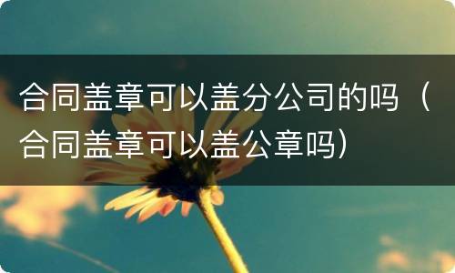 合同盖章可以盖分公司的吗（合同盖章可以盖公章吗）