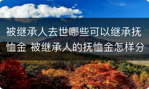 被继承人去世哪些可以继承抚恤金 被继承人的抚恤金怎样分配