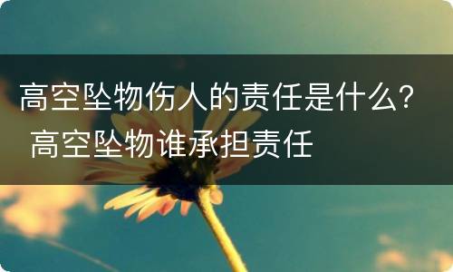 高空坠物伤人的责任是什么？ 高空坠物谁承担责任