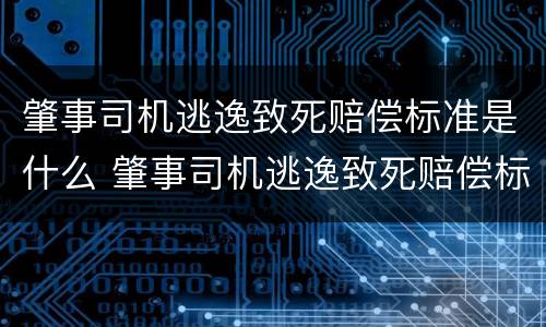 肇事司机逃逸致死赔偿标准是什么 肇事司机逃逸致死赔偿标准是什么意思