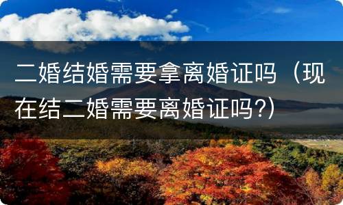二婚结婚需要拿离婚证吗（现在结二婚需要离婚证吗?）
