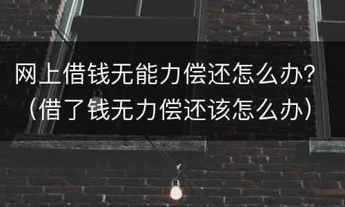 网上借钱无能力偿还怎么办？（借了钱无力偿还该怎么办）