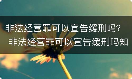 非法经营罪可以宣告缓刑吗？ 非法经营罪可以宣告缓刑吗知乎