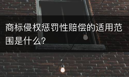 商标侵权惩罚性赔偿的适用范围是什么？