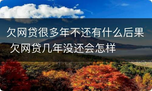 欠网贷很多年不还有什么后果 欠网贷几年没还会怎样