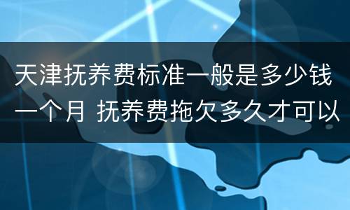 天津抚养费标准一般是多少钱一个月 抚养费拖欠多久才可以起诉
