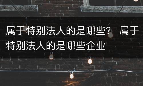 属于特别法人的是哪些？ 属于特别法人的是哪些企业