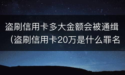 盗刷信用卡多大金额会被通缉（盗刷信用卡20万是什么罪名）