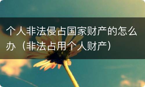 个人非法侵占国家财产的怎么办（非法占用个人财产）