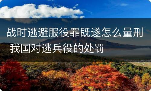 战时逃避服役罪既遂怎么量刑 我国对逃兵役的处罚
