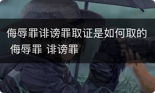 侮辱罪诽谤罪取证是如何取的 侮辱罪 诽谤罪