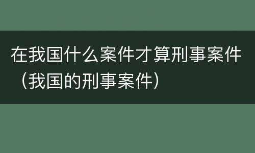在我国什么案件才算刑事案件（我国的刑事案件）