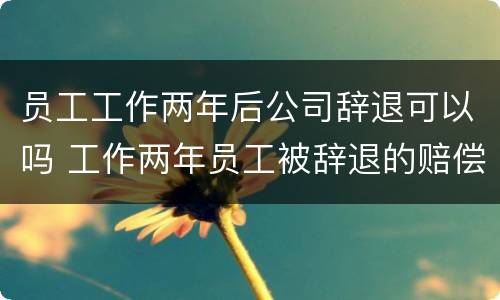 员工工作两年后公司辞退可以吗 工作两年员工被辞退的赔偿