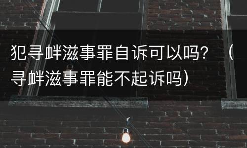 犯寻衅滋事罪自诉可以吗？（寻衅滋事罪能不起诉吗）