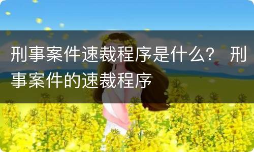 刑事案件速裁程序是什么？ 刑事案件的速裁程序