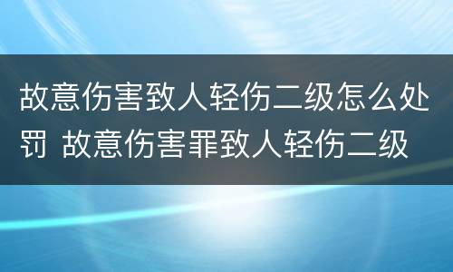 故意伤害致人轻伤二级怎么处罚 故意伤害罪致人轻伤二级