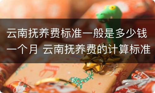 云南抚养费标准一般是多少钱一个月 云南抚养费的计算标准