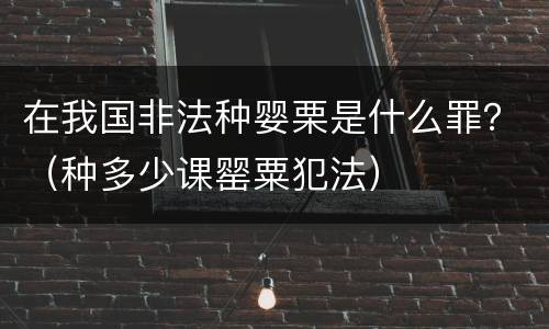 在我国非法种婴栗是什么罪？（种多少课罂粟犯法）
