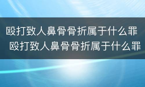 殴打致人鼻骨骨折属于什么罪 殴打致人鼻骨骨折属于什么罪