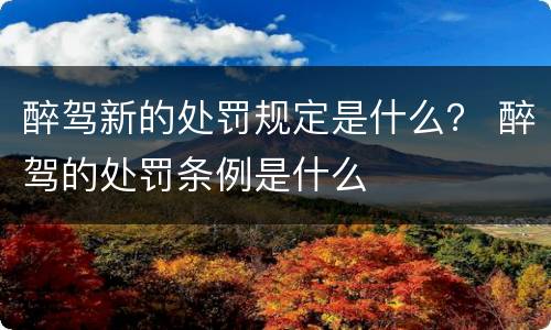 醉驾新的处罚规定是什么？ 醉驾的处罚条例是什么