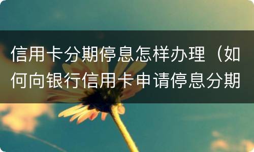 信用卡分期停息怎样办理（如何向银行信用卡申请停息分期）