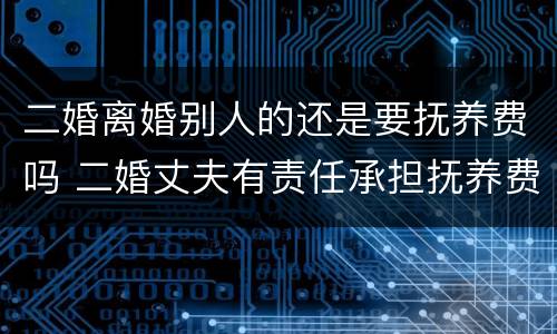 二婚离婚别人的还是要抚养费吗 二婚丈夫有责任承担抚养费吗