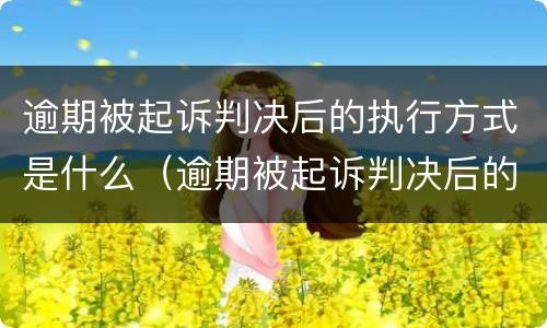 逾期被起诉判决后的执行方式是什么（逾期被起诉判决后的执行方式是什么样的）