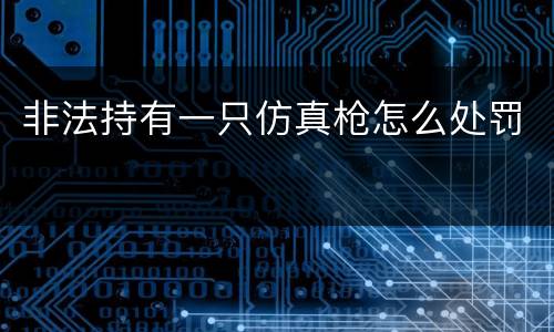 非法持有一只仿真枪怎么处罚