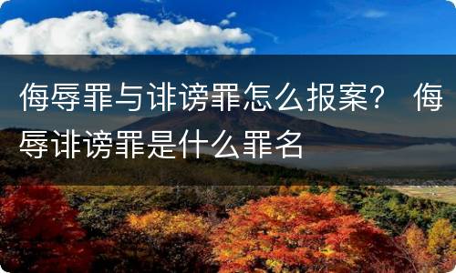 侮辱罪与诽谤罪怎么报案？ 侮辱诽谤罪是什么罪名