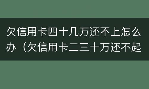 欠信用卡四十几万还不上怎么办（欠信用卡二三十万还不起怎么办）