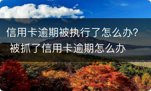 信用卡逾期被执行了怎么办？ 被抓了信用卡逾期怎么办