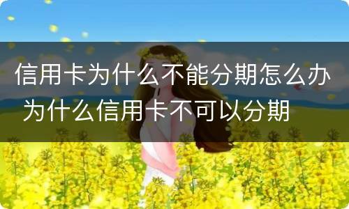 信用卡为什么不能分期怎么办 为什么信用卡不可以分期