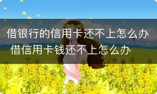 借银行的信用卡还不上怎么办 借信用卡钱还不上怎么办